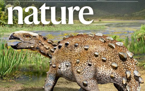 Fotografía del hallazgo del dinosaurio chileno en el que participó la UC
