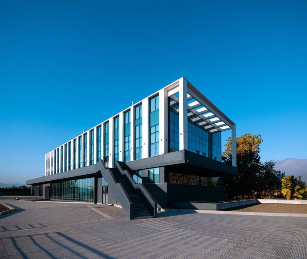 Académicos Escuela de Medicina Veterinaria
